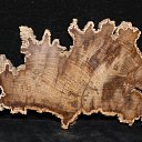 ���� ������, �����-��������� - ��������� 25 ������ 2017 � ������ �����������