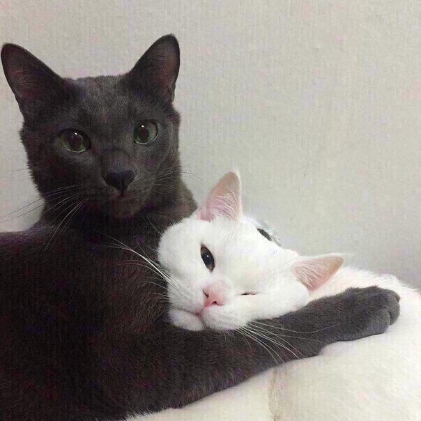   ,     :)