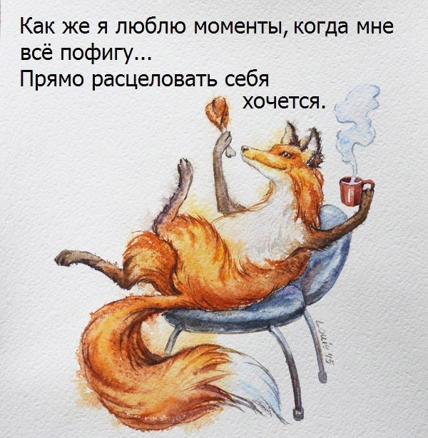    - 17  2017  16:09
