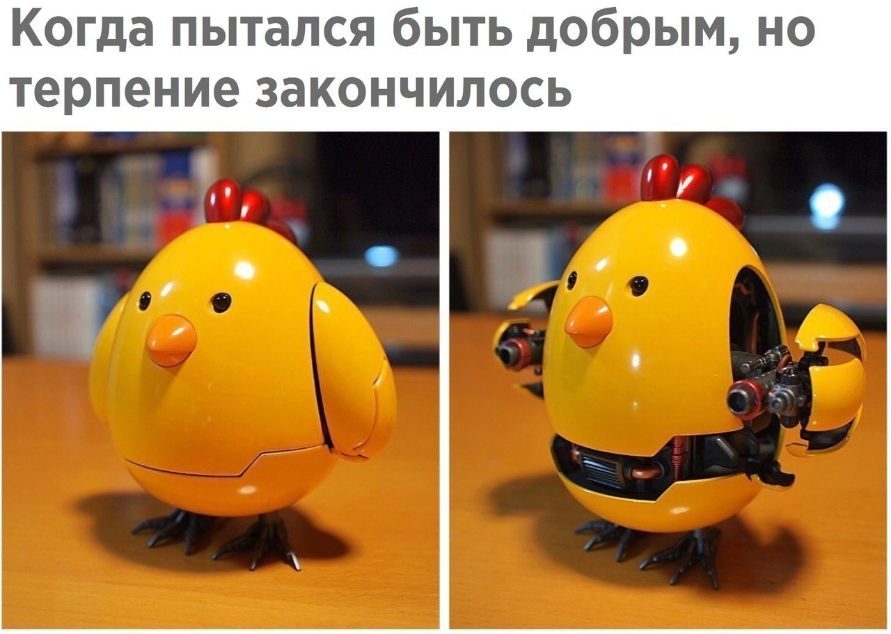  - 29  2017  02:34