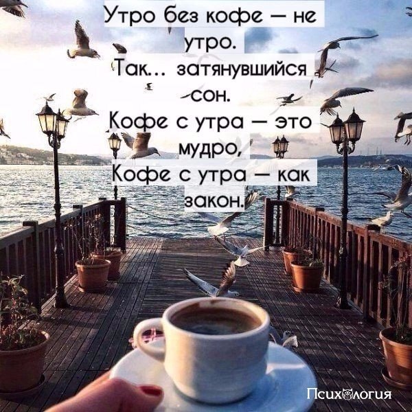  - 6  2017  09:06