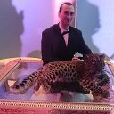 ���� ��������, �����-���������, 43 ���� - ��������� 8 ������ 2017 � ������ ������ ��������