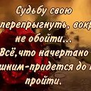 ���� ����, ���������, 44 ���� - ��������� 6 ��� 2017 � ������ ���� ����������