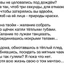 ���� �����, ���� - ��������� 26 ������ 2017 � ������ ������ ��������