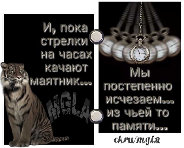   - 14  2017  09:57