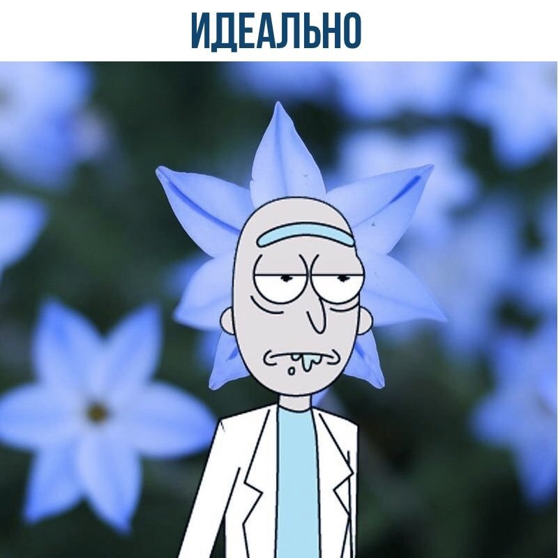    - 5  2017  16:07
