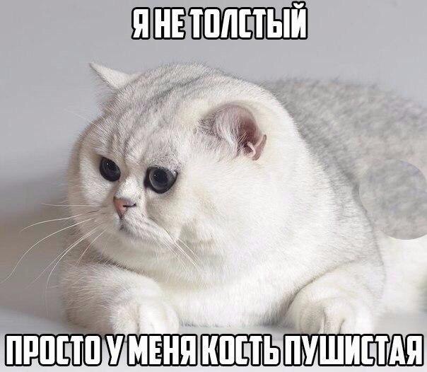    :D - 28  2017  12:10