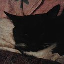  Elenka))) 219,  -  14  2017    -  .