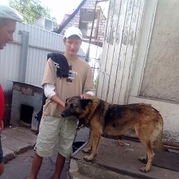 �������, �������, 40 ���