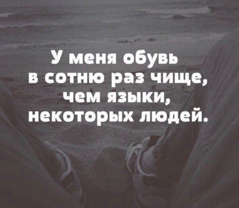,   ,    - 16  2017  14:00