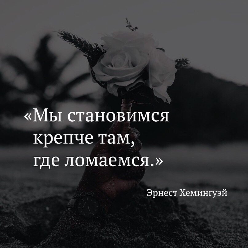  | ,  - 8  2017  17:57