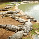 ���� ������, �������� - ��������� 13 ������ 2017 � ������ ���� ����������