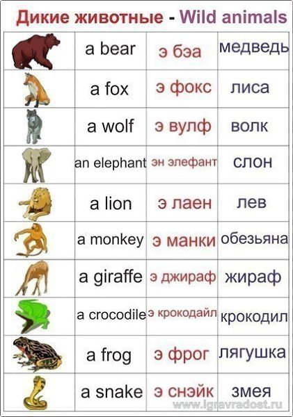   . , 