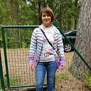 ����, ���� 2017 �� ������� ���� ����������