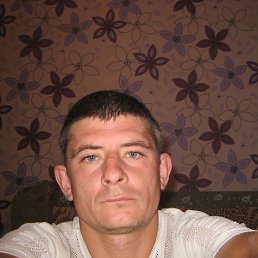 ���� ���������, �����, 43 ���� - ��������� 23 ���� 2017