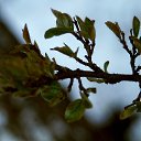 ���� ������, ������, 49 ��� - ��������� 21 ������ 2017 � ������ �SONY�