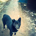 ���� ���������, ���������, 33 ���� - ��������� 4 ������ 2018 � ������ ���� ����������