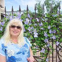 ��������� �� ������� ��������