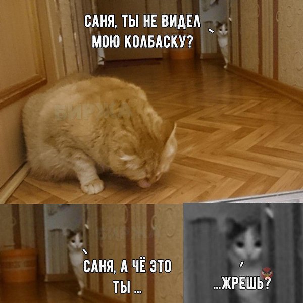   - 27  2018  02:41