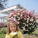 ���� ���, ������ �������� - ��������� 13 ���� 2018 � ������ �����������