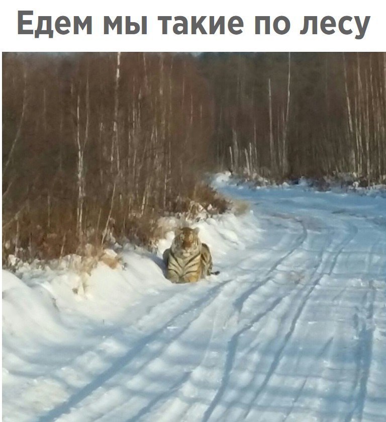   - 18  2018  21:45