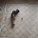 ���� ���������, �����, 50 ��� - ��������� 17 ������� 2018 � ������ ���� ����������