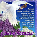 ���� ������, ������������, 74 ���� - ��������� 17 ��� 2018 � ������ ������ ��������