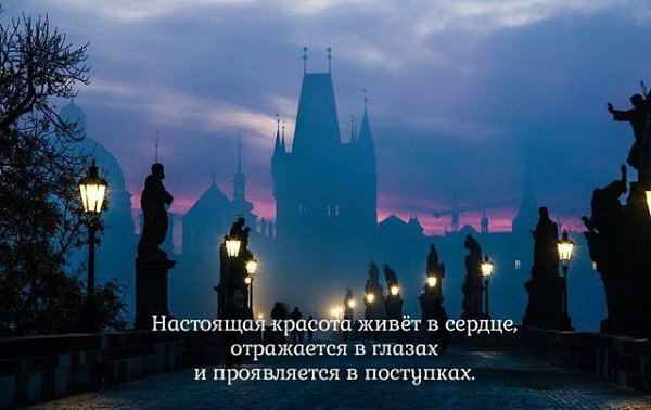 Мудрый человек сказал однажды: "Три вещи никогда не возвращаются обратно: время, слово, ...