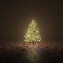 ���� �������, ����, 43 ���� - ��������� 17 ���� 2018 � ������ ���� ����������