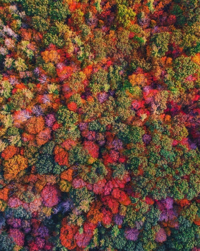Ontario, Canada