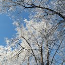 ���� �����, ������, 48 ��� - ��������� 3 ������ 2018 � ������ �������� ���������