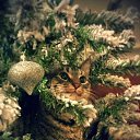  Elena....,  -  12  2017    