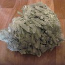 ���� ������, �����-���������, 44 ���� - ��������� 29 ������ 2018 � ������ ���� ����������