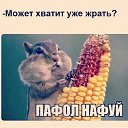 ���� �������, �������, 61 ��� - ��������� 14 ������ 2018 � ������ ������ ��������