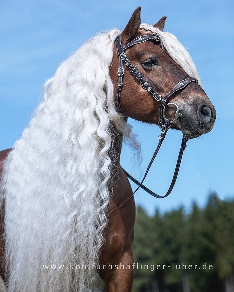  -   ! - 17  2018  02:53