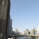 ���� �����, ������ - ��������� 21 ������ 2018 � ������ ���� ����������