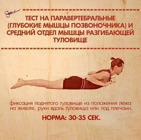 ТЕСТЫ НА ФУНКЦИОНАЛЬНУЮ СЛАБОСТЬ МЫШЦ. Тело нетренированного (а часто и тренированного) человека ... - 5
