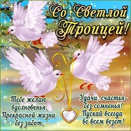 ������, ������, 48 ���