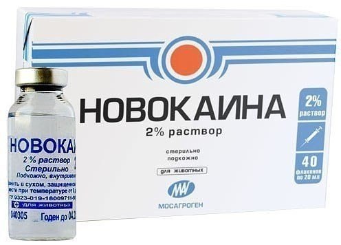 ВОЛШЕБНЫЕ СВОЙСТВА НОВОКАИНА. Помните, где-то в 80-х годах прогремела новость – новокаин продлевает ...