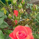  , , 60  -  28  2018   , ,,28.05.18. 08.30. 