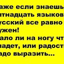  ,  -  19  2018    
