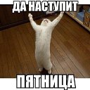  , , 44  -  27  2018    