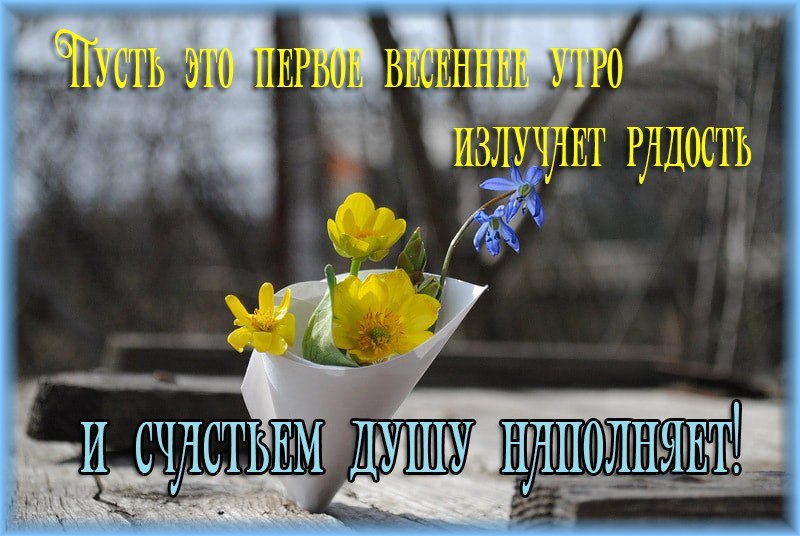  ! *****************************************       ...