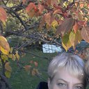 ���� ����, ������, 55 ��� - ��������� 22 ������ 2017 � ������ ���� ����������