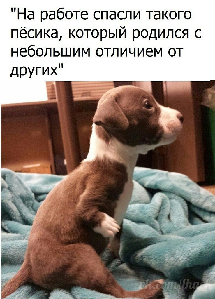  - 1  2018  03:42
