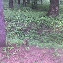 ���� �������, ������, 46 ��� - ��������� 25 ������� 2018 � ������ �������� ( �� ���� ����������)�