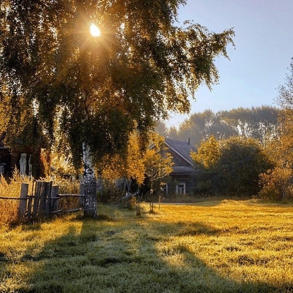 Утро в деревне фото