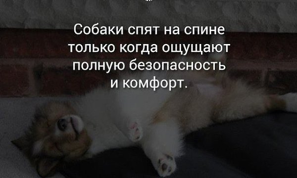 ���� �������� �������: ����� � ����� - 11 ������ 2018 � 04:05