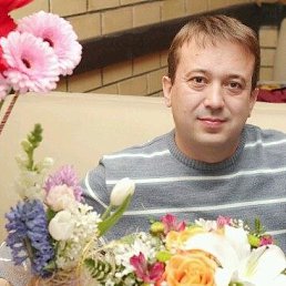 ����������, 51 ���, ���������