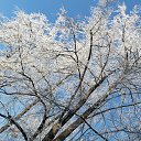 ���� �����, ������, 48 ��� - ��������� 3 ������ 2018 � ������ �������� ���������